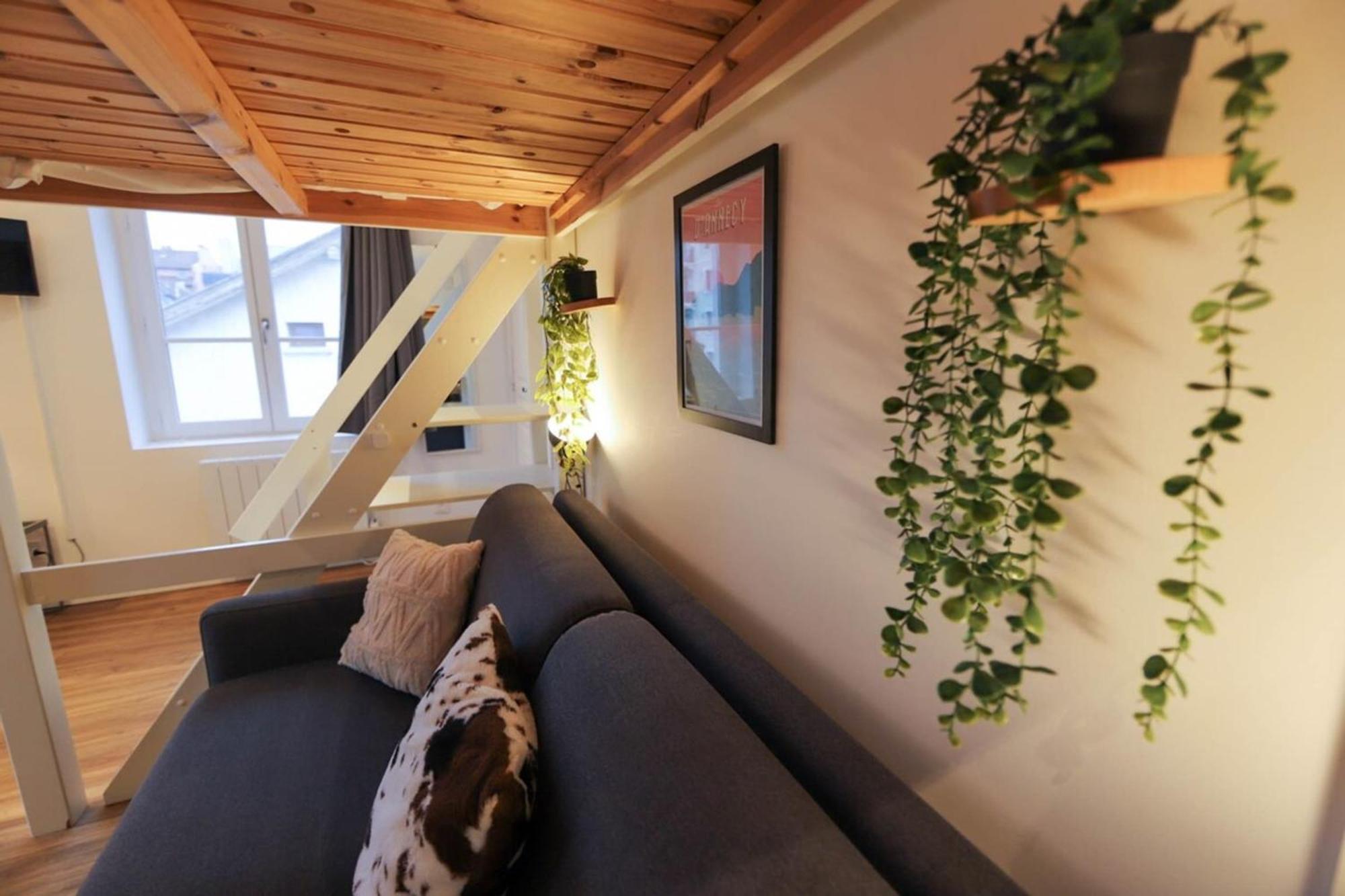 Apartament Le Petit Plus - Studio Confortable Avec Parking Annecy Zewnętrze zdjęcie
